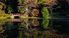 鳥見山公園池回りにて