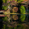 鳥見山公園池回りにて