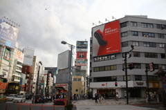 撮ろう。本能のままに！