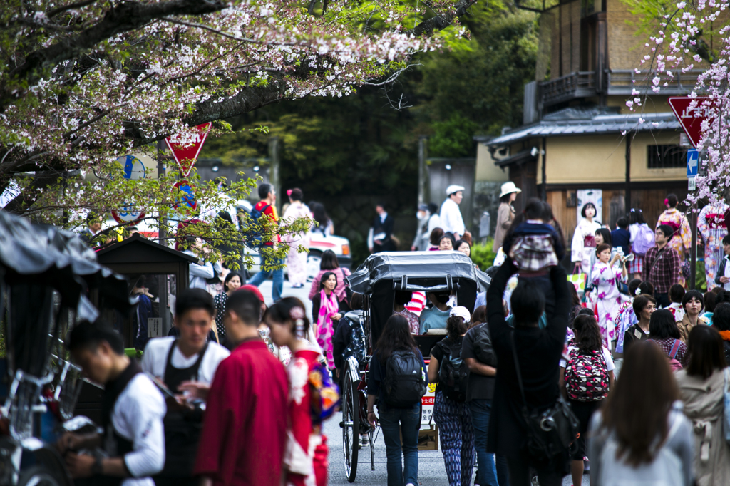 京都の裏を見通して