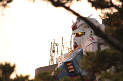 ガンダム確認！