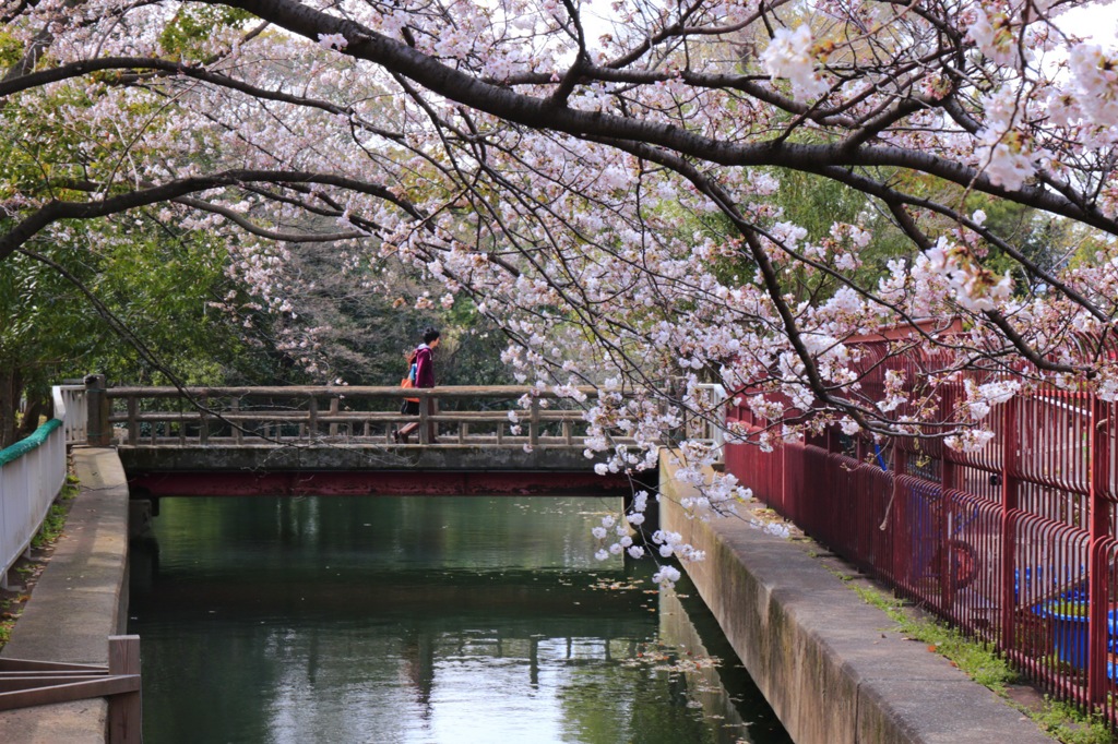 春の散歩