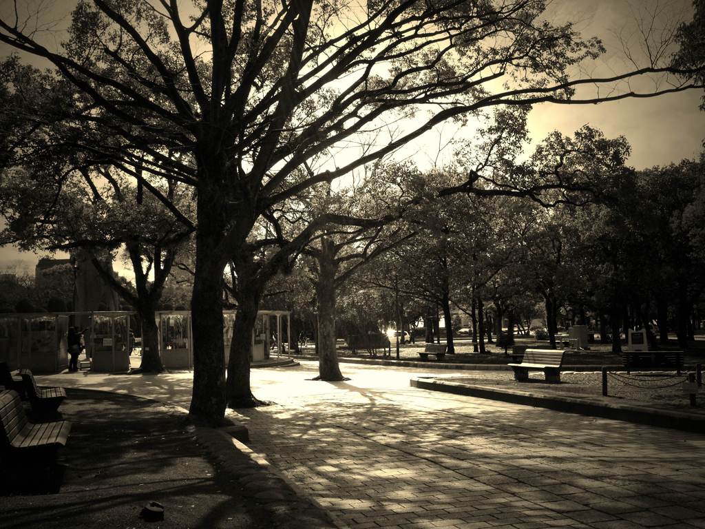light and shadow