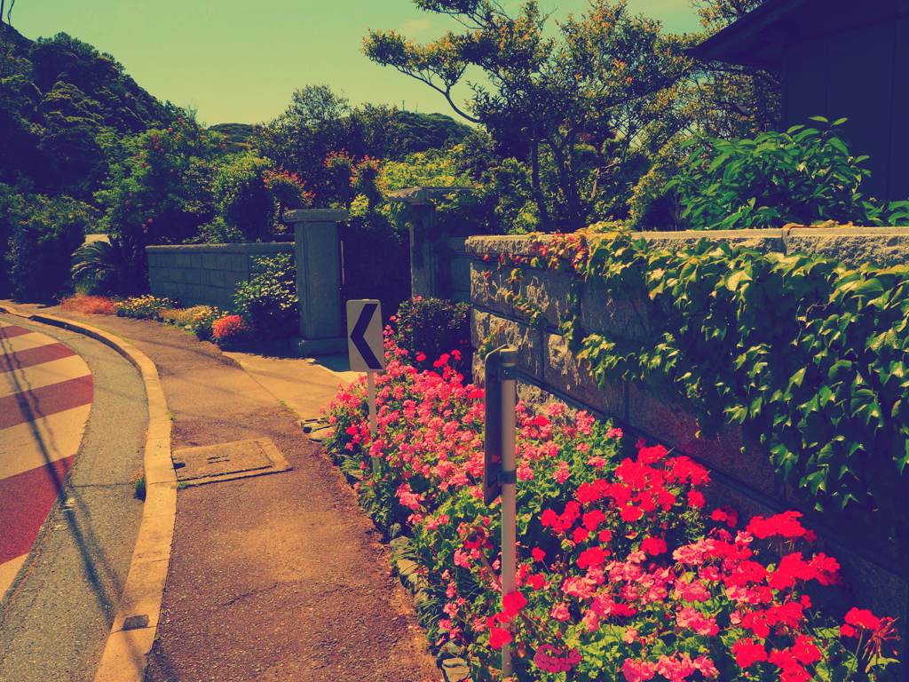 warm road