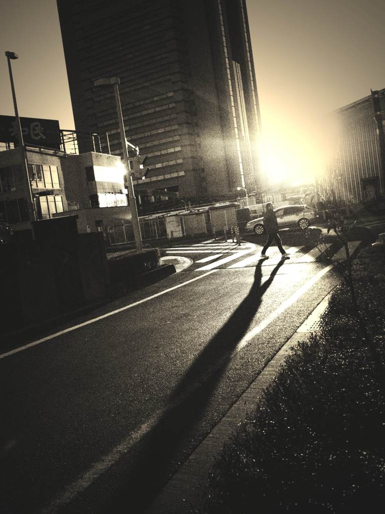 light and shadow