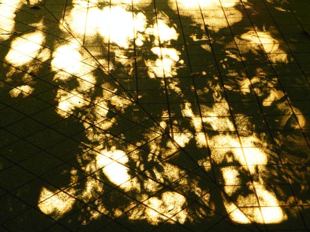 under shadow