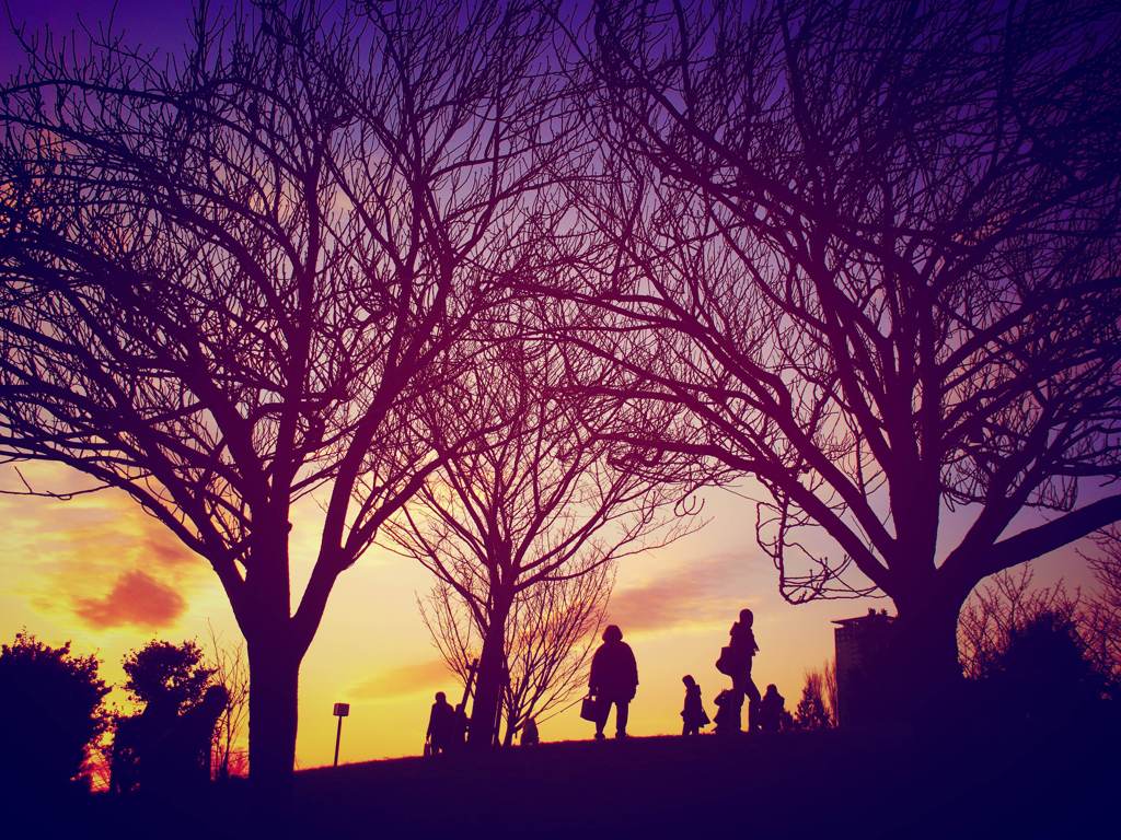 それぞれの夕暮れ