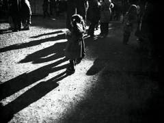 shadow