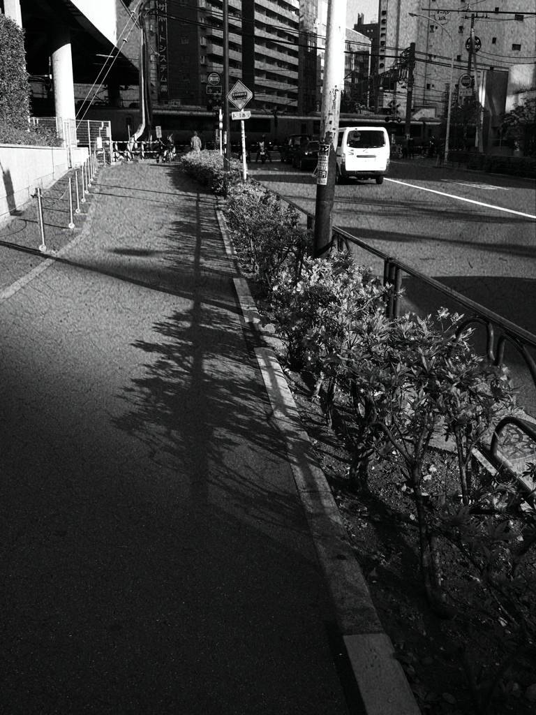 小道