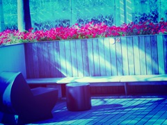 日常の中の非日常