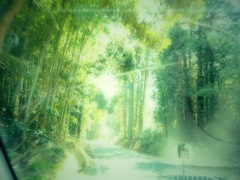 幻想