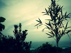 sky and sea