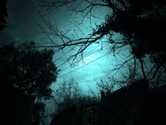 blue feeling