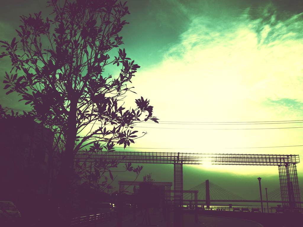 いつかの空