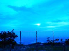 blue night
