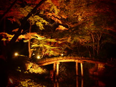 autumn bridge