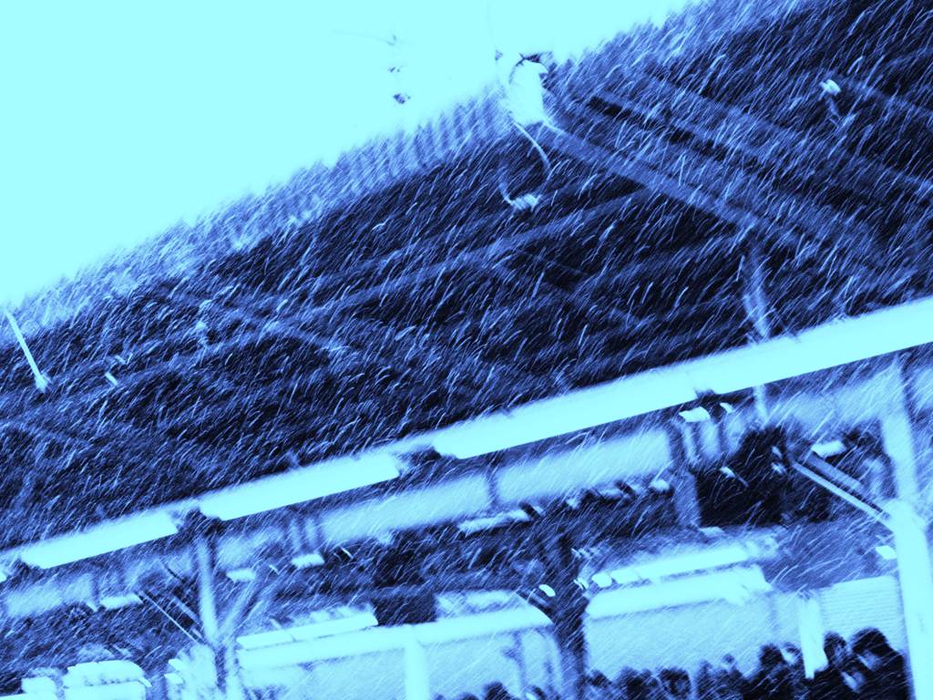 snow