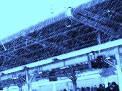 snow