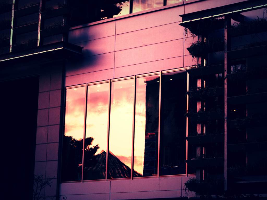 reflect