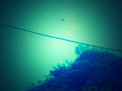so high