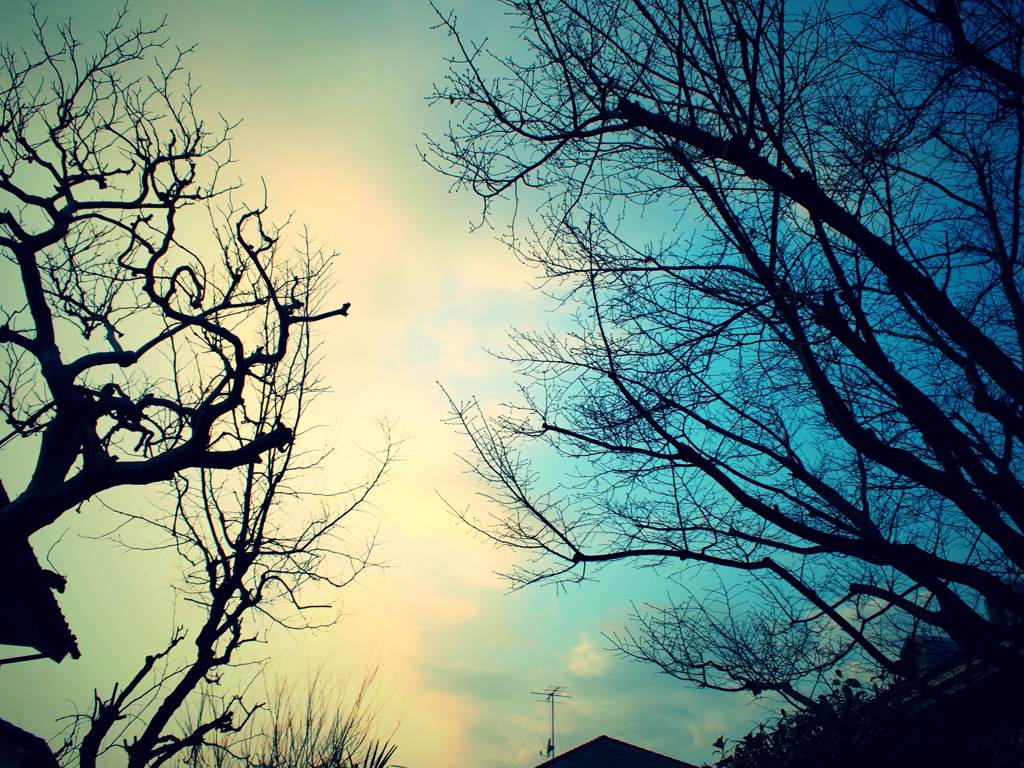 blue sky