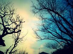 blue sky