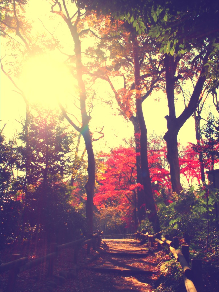 紅葉