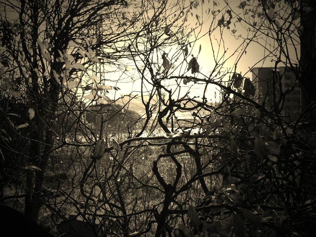 fall