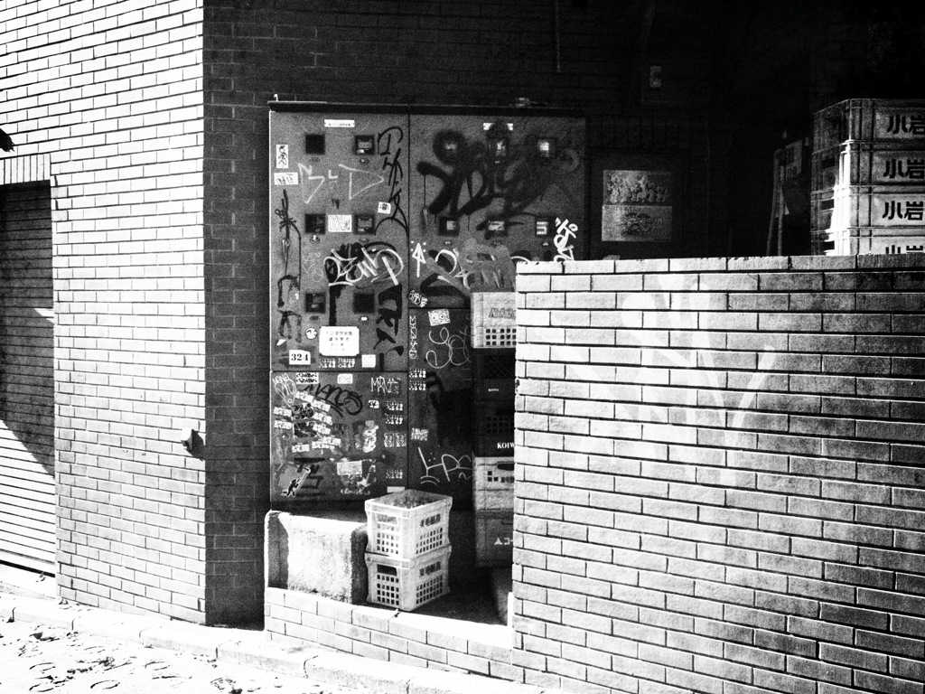 陽のあたる場所