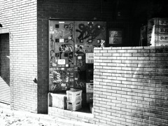 陽のあたる場所