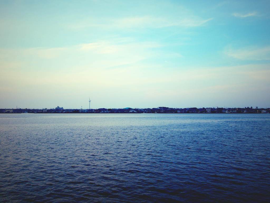 海