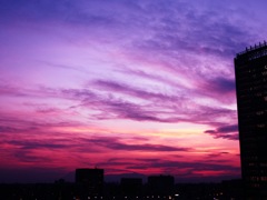 purple sky