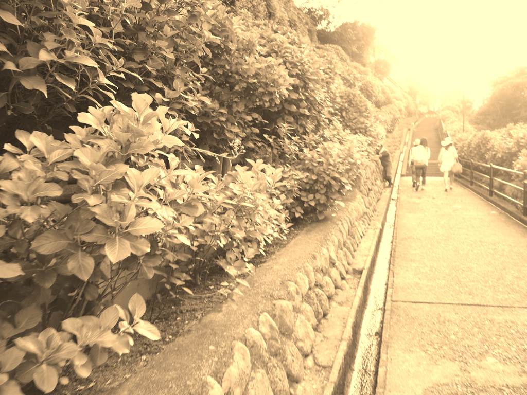 Kamakura