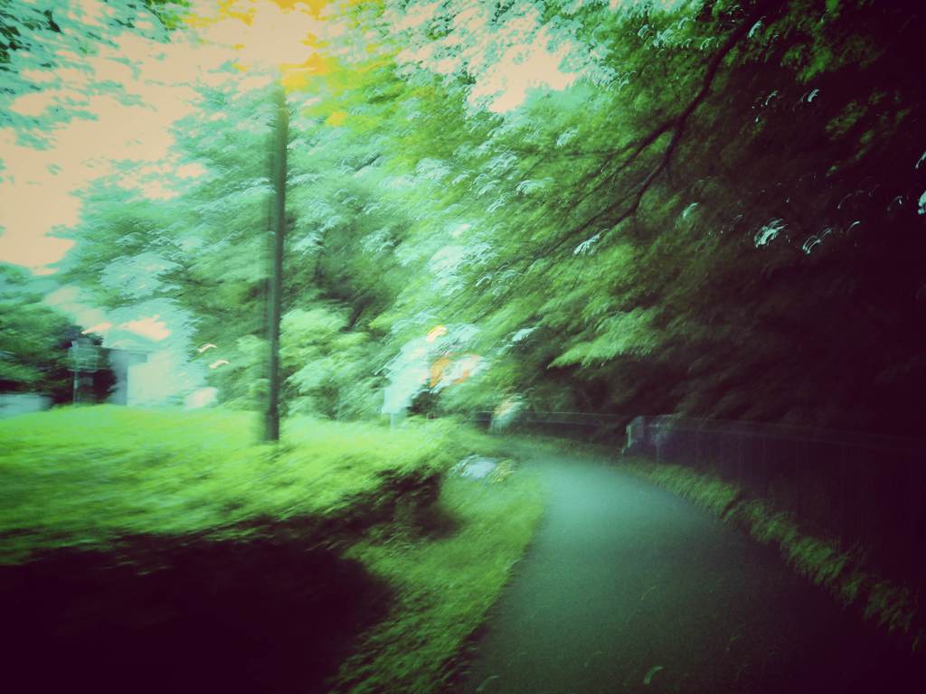 Lost