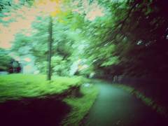 Lost
