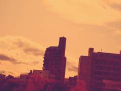 calm orange