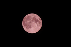 strawberry moon