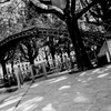 Paris16_b:w