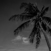 Costa del Sol03(bw)-23