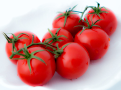 Tomato1