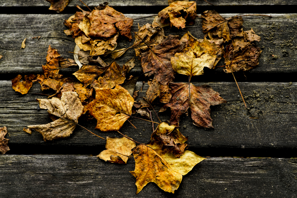 Autumn is here.