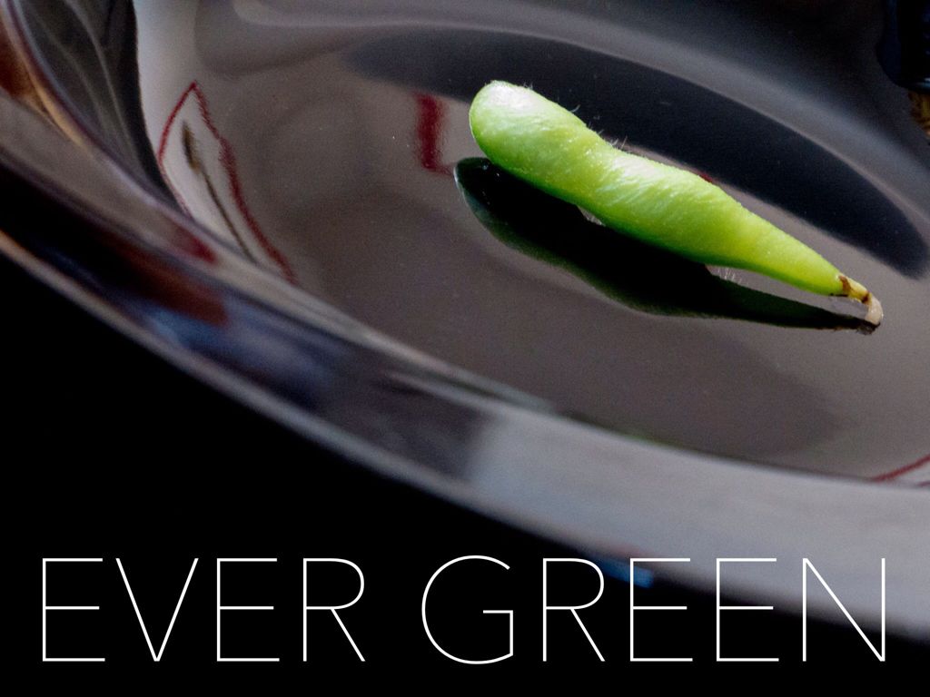 EVER GREEN