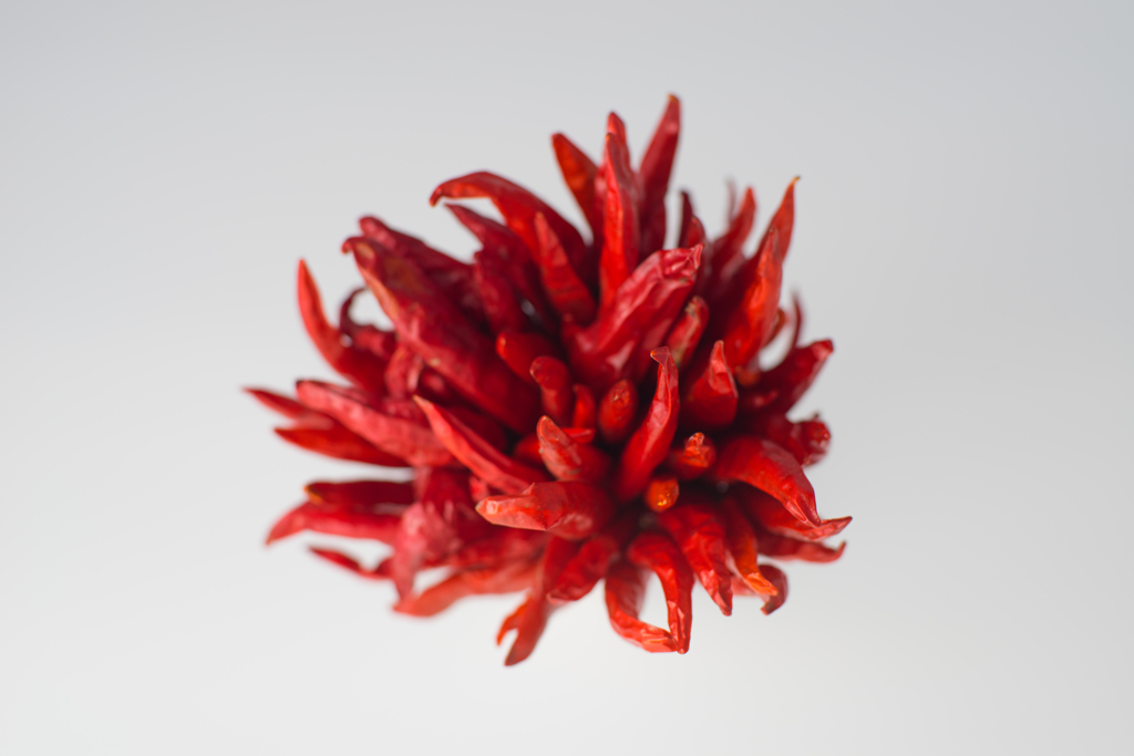 Red Pepper01