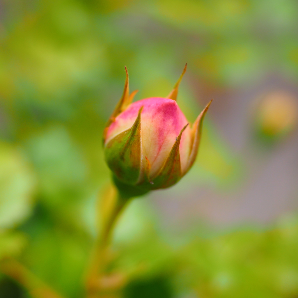 P5060351