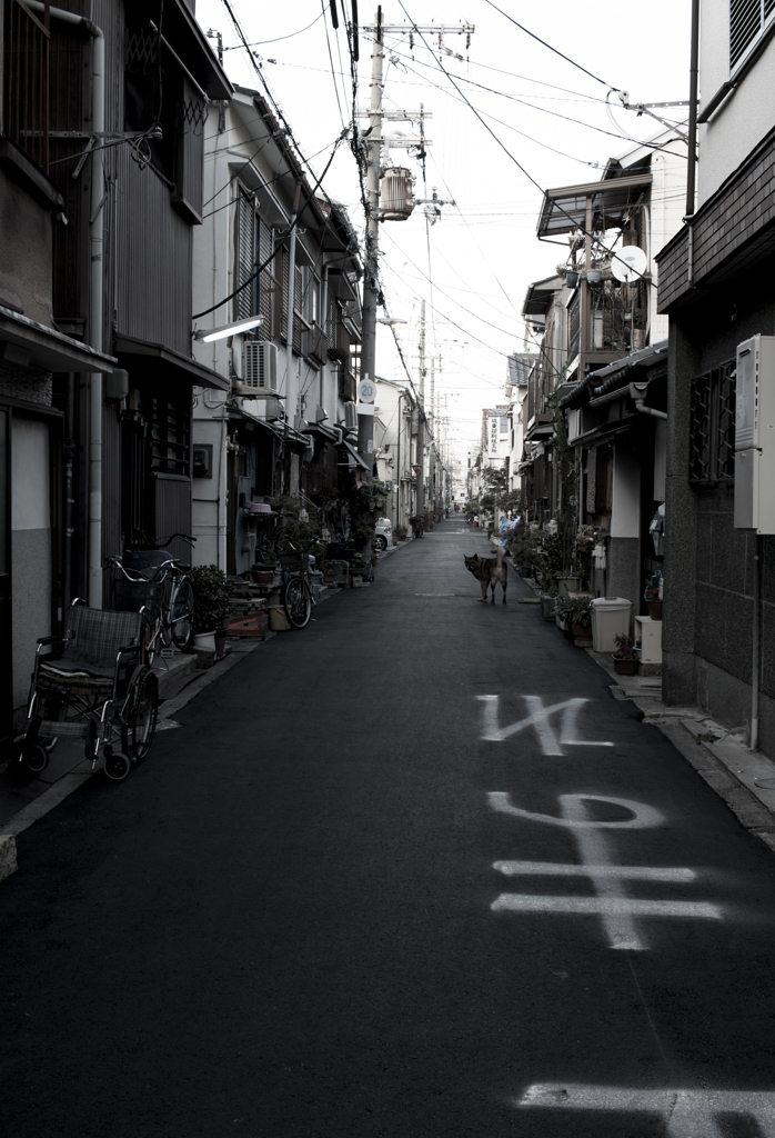 路地裏のデカイやつ