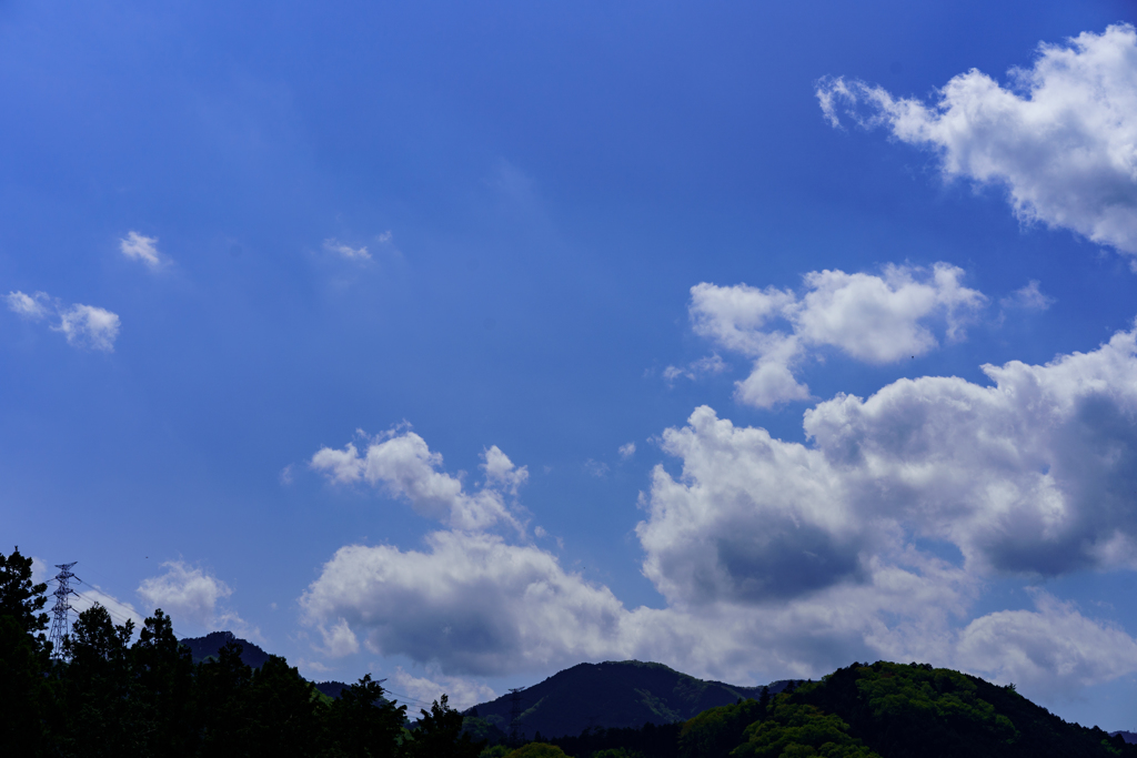 青空…。