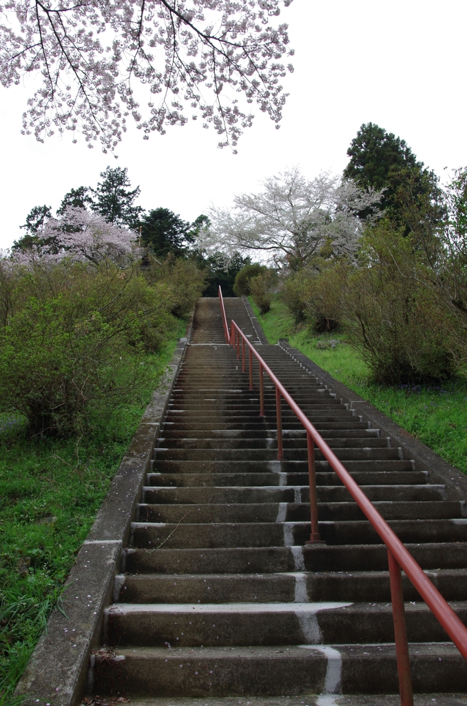 桜坂