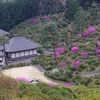 塩船観音
