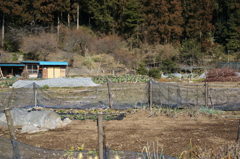 田舎の風景