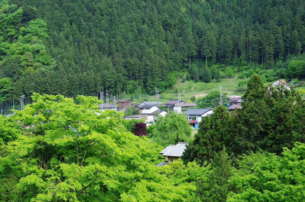 新緑の田舎